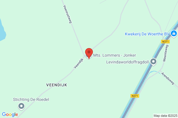 Jonkers