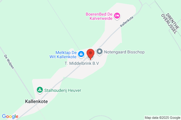Middelbrink, T