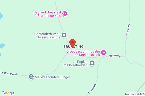 Zinger Transport