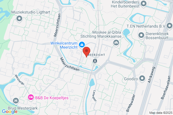 Gelderblom Buitelaar Spaans