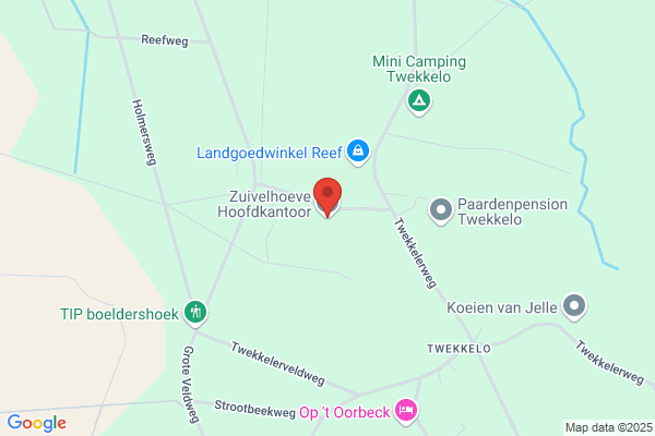 Roerink G J