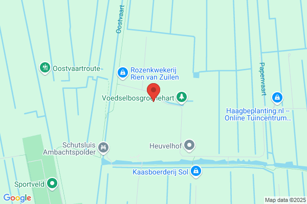 H.P. Van Dorp Jz.