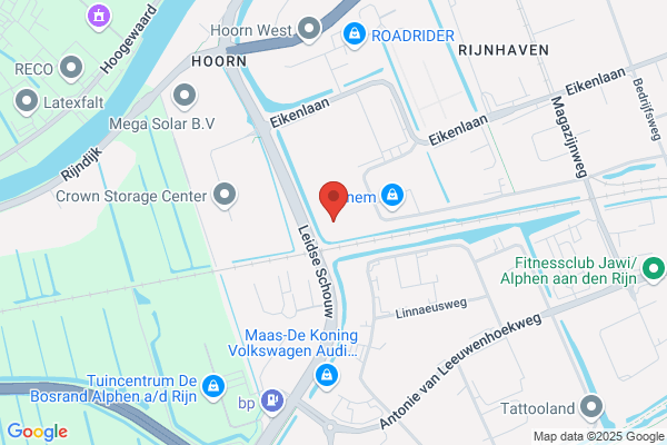Rijnvicus