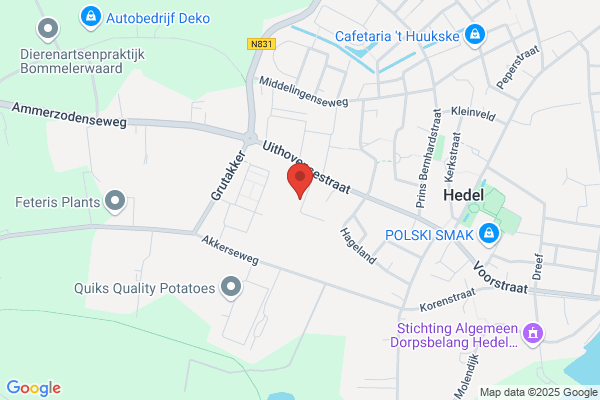 Amsing Management Hedel Bv