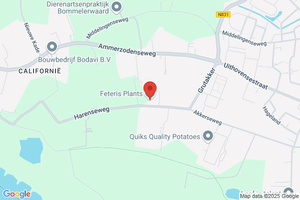 Bloemenkwekerij A.M. Feteris Bv
