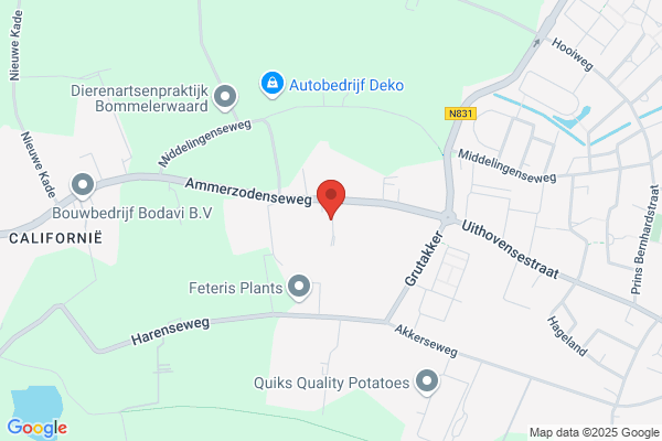 Vof Champignonkwekerij Hooijmans