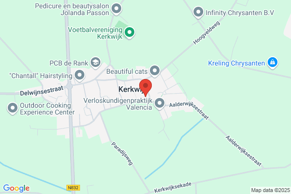 Nico Van Rijnsbergen Kerkwijk Bv