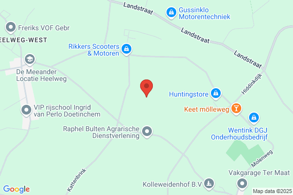 Vendeliersgroep