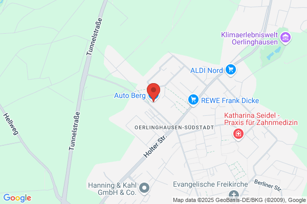 Berg Autoshop, Van Den