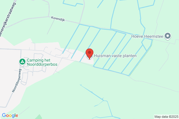 Steenhuisen, W M