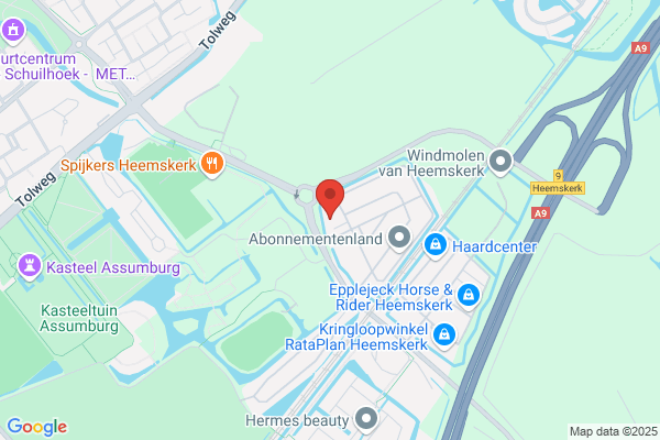 Hout