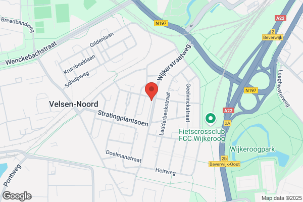 Fleuren