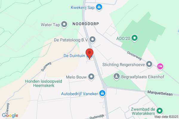 Groente En Fruit Speciaalzaak Duys Vers