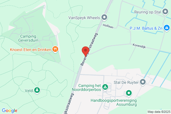 Hoogduin, A