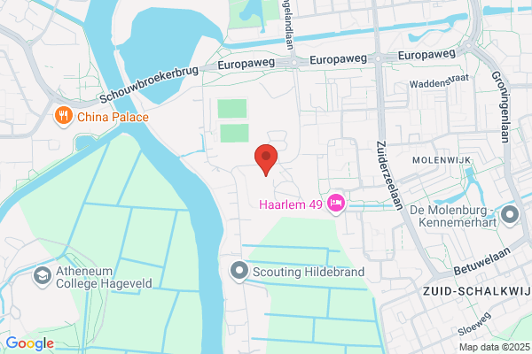 Leiden Center For Science And Consult