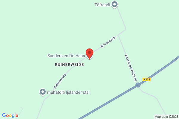 Schouten Bettij En Haan Sander De