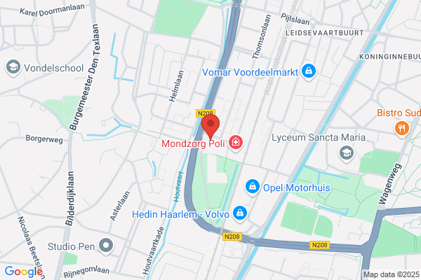 Haarlems Straatorkest