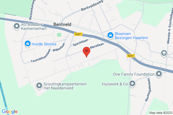 Ed Anser Ii Bv