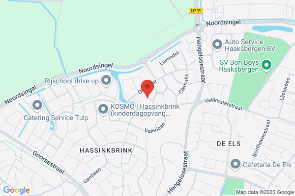 Duinroos, De
