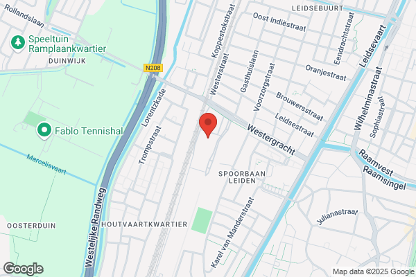 Action Haarlem