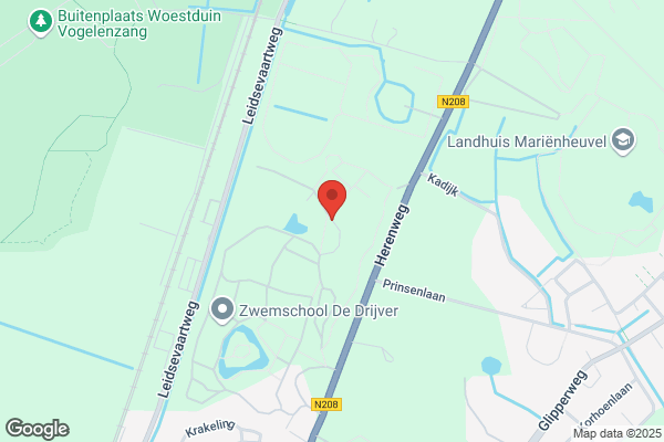 Haarlemmerhout