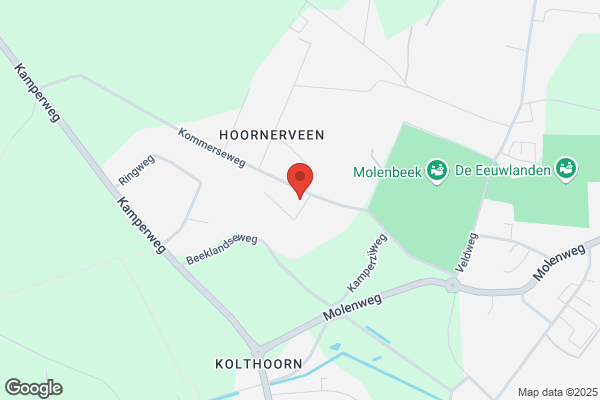J. Liefers