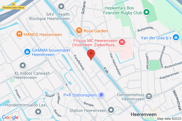 Praktizijnskant Friesland