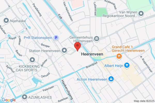 Loopbaan Regisseur