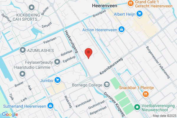 Hengst-Oppenhuizen, T M