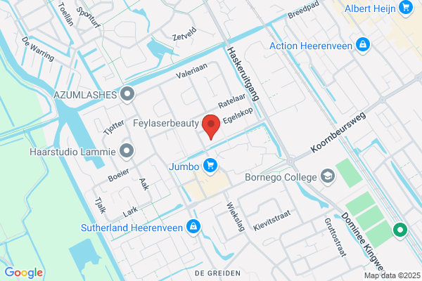 Kooi, Schildersbedrijf