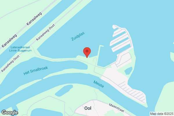 Roerganger, De