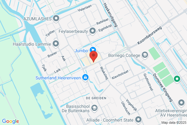 De Dolfijn