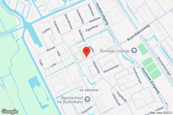 De Dolfijn