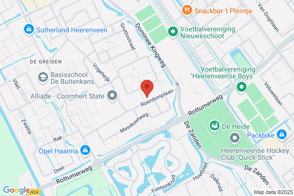 Roerdomp, De