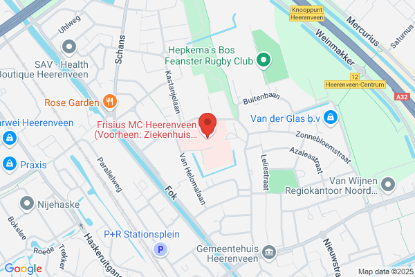 Tjongerschans, De