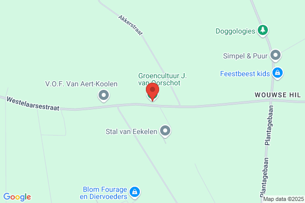 Gurp Groenprojecten Bv, Van