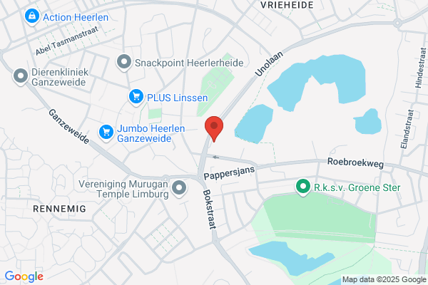Borsboom