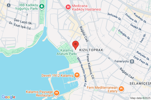 Nefiye Gokce