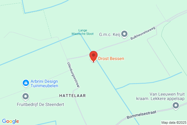 Drost, Ria