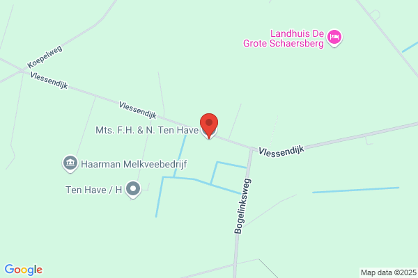 Hofstede, Tinus