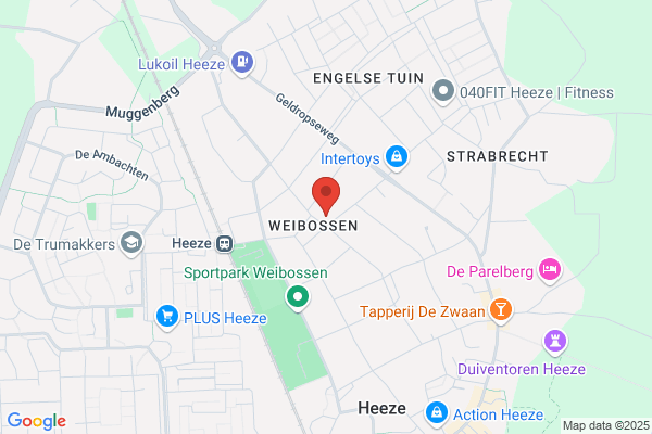 Schilders Bv, Autobedrijf
