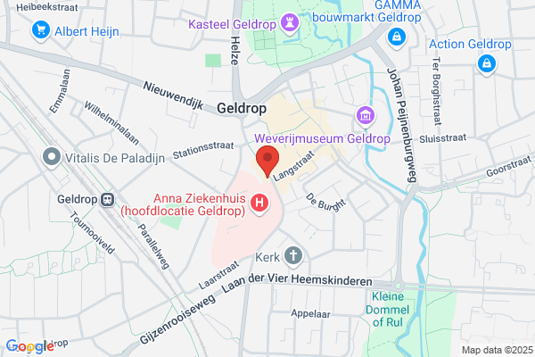 De Gouden Leeuw