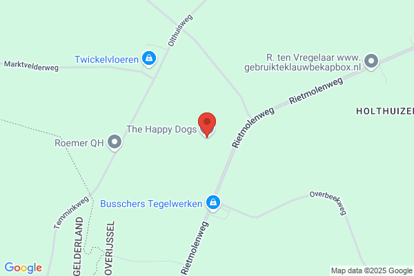 The Happy Dog, Hondenschool