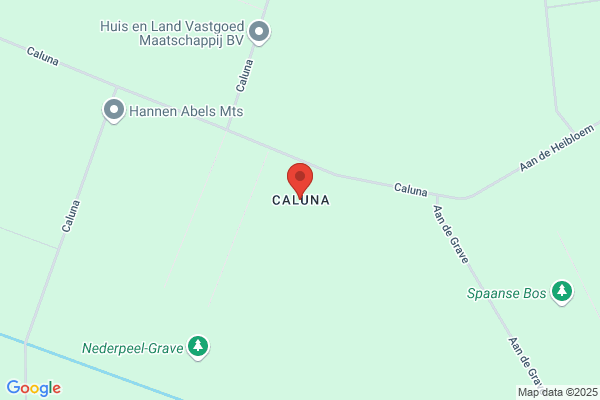 Caluna