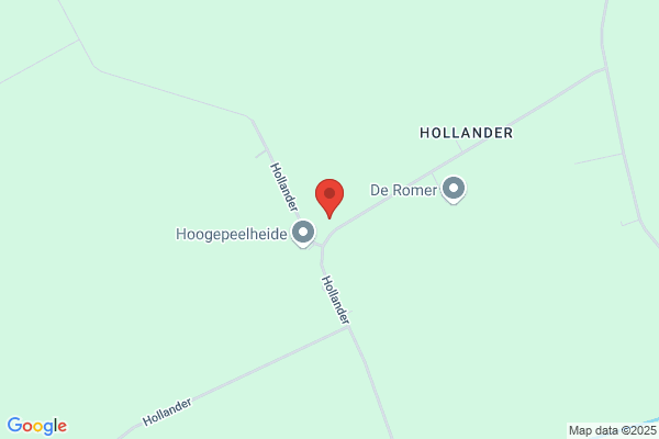 Vergulde Hirt, In 't