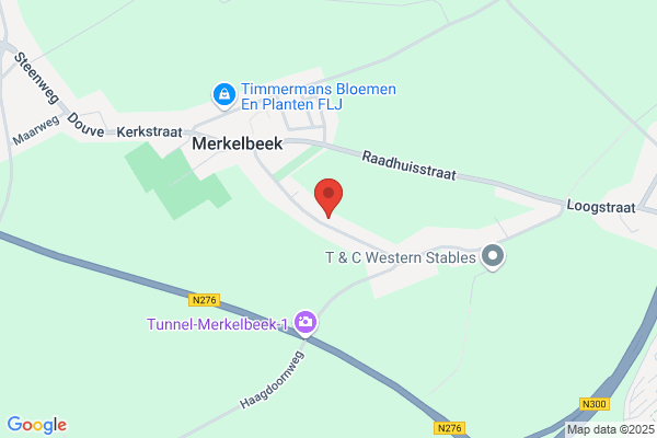 Timmermans, F M