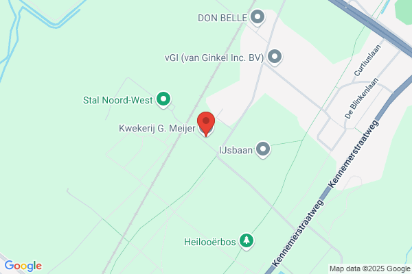 Bloemen- En Bollenkwekerij Metzelaar & Zn