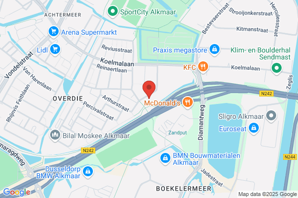 De Polsstok