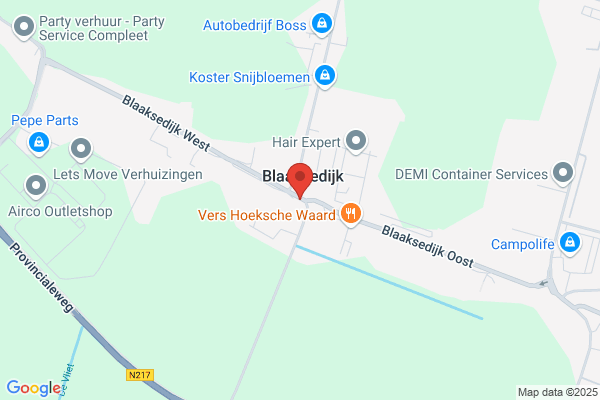 Huijsmans