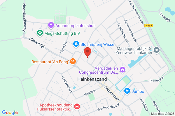 Heijnen, Ir B